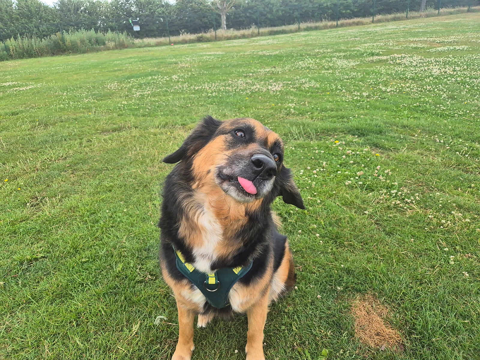 Skye