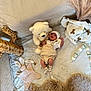 baby, soft_blanket, stuffed_toy, bottle, baby_clothes, plush_toy, baby_hat, baby_socks, wooden_beads, woven_basket, cushion, floor_rug, baby_toy, fabric, infant, lying_down, indoor, cute, child, nursery