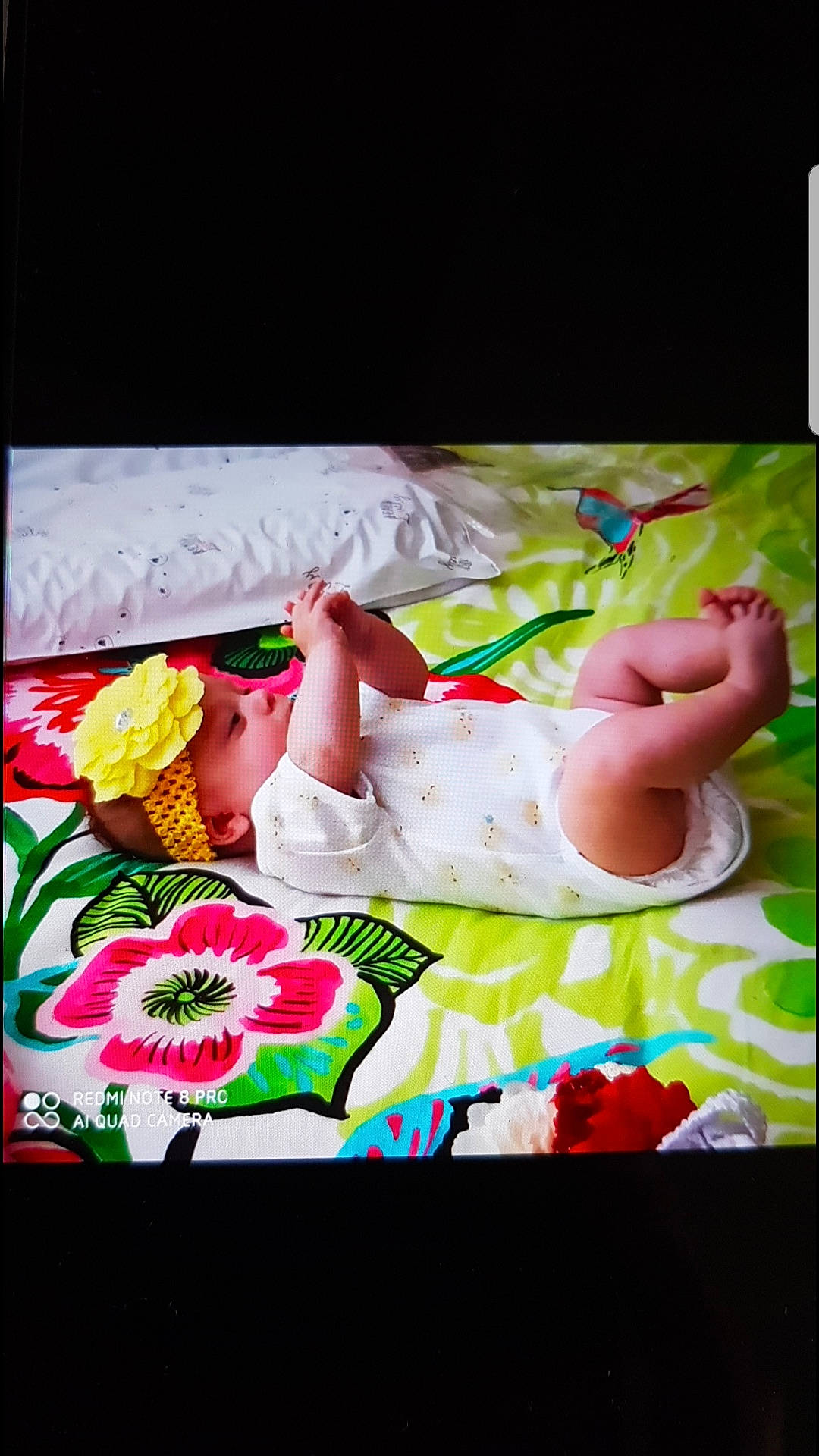 Madison participe au concours pour gagner de l'argent avec cette photo : baby, child, hand, headwear, leg, nap, person, petal, photography, plant, play, textile, toddler