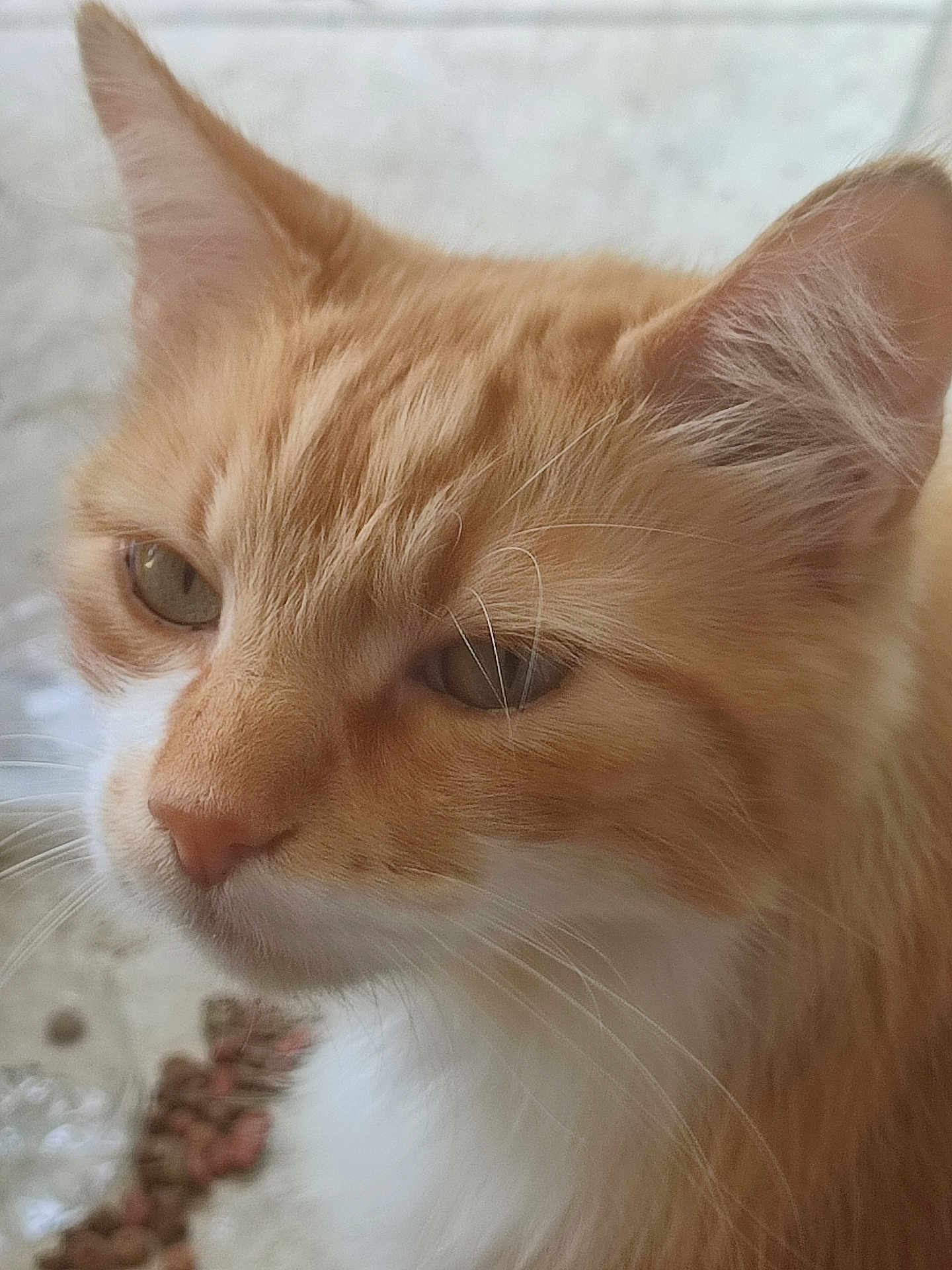 Simba