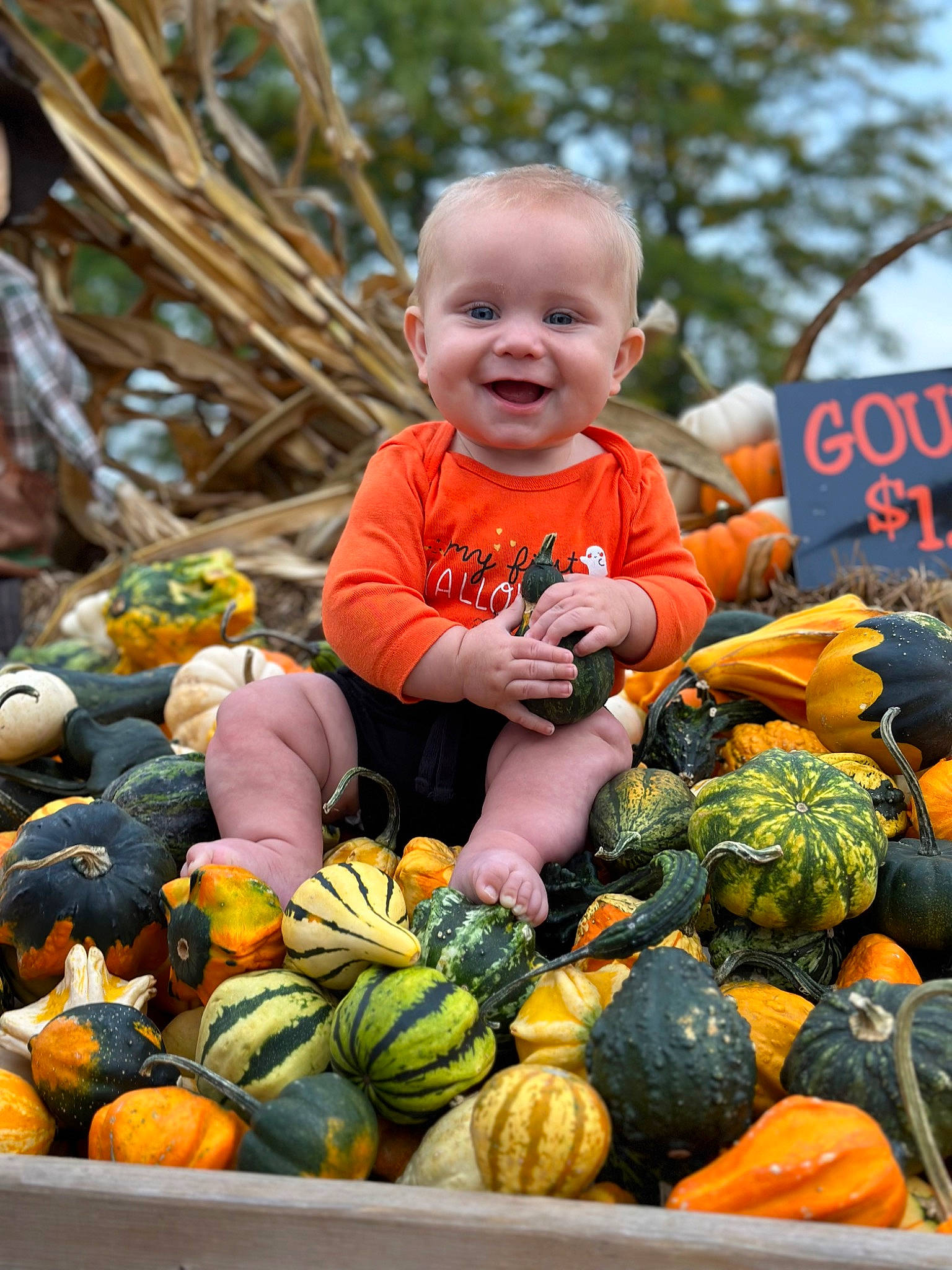Oliver joined the competition — help win amazing prizes! baby_toddler_clothing, calabaza, cucurbita, food, gourd, grass, green, happy, joy, local_food, natural_foods, orange, person, produce, pumpkin, smile, squash, staple_food, toddler, vegetable