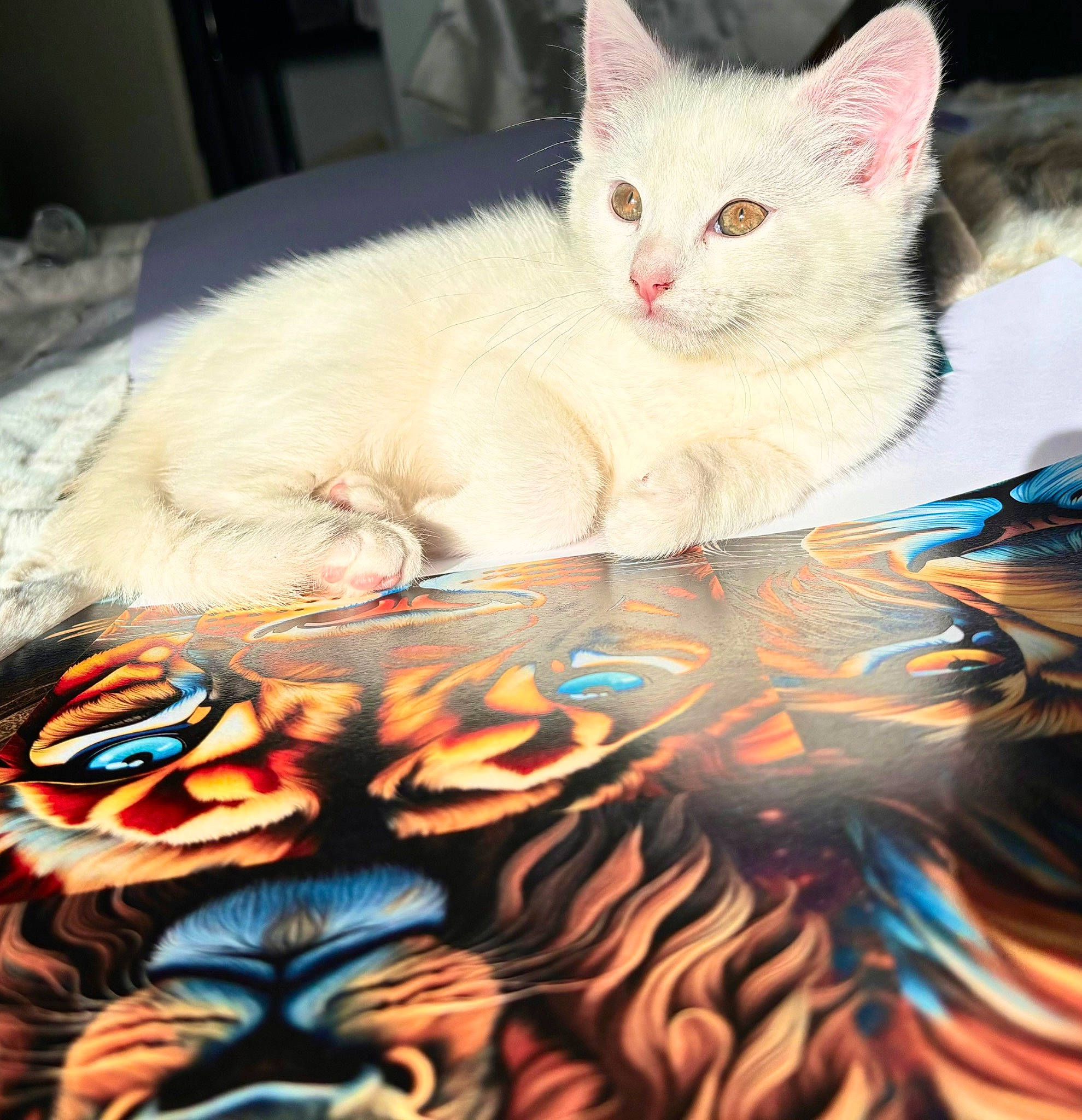 Nuriye is registered to the contest to win money with this photo: art, bed, carnivore, cat, claw, comfort, domestic_short_haired_cat, felidae, fur, linens, pattern, paw, small_to_medium_sized_cats, tail, visual_arts, whiskers