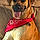 Waylon Gage