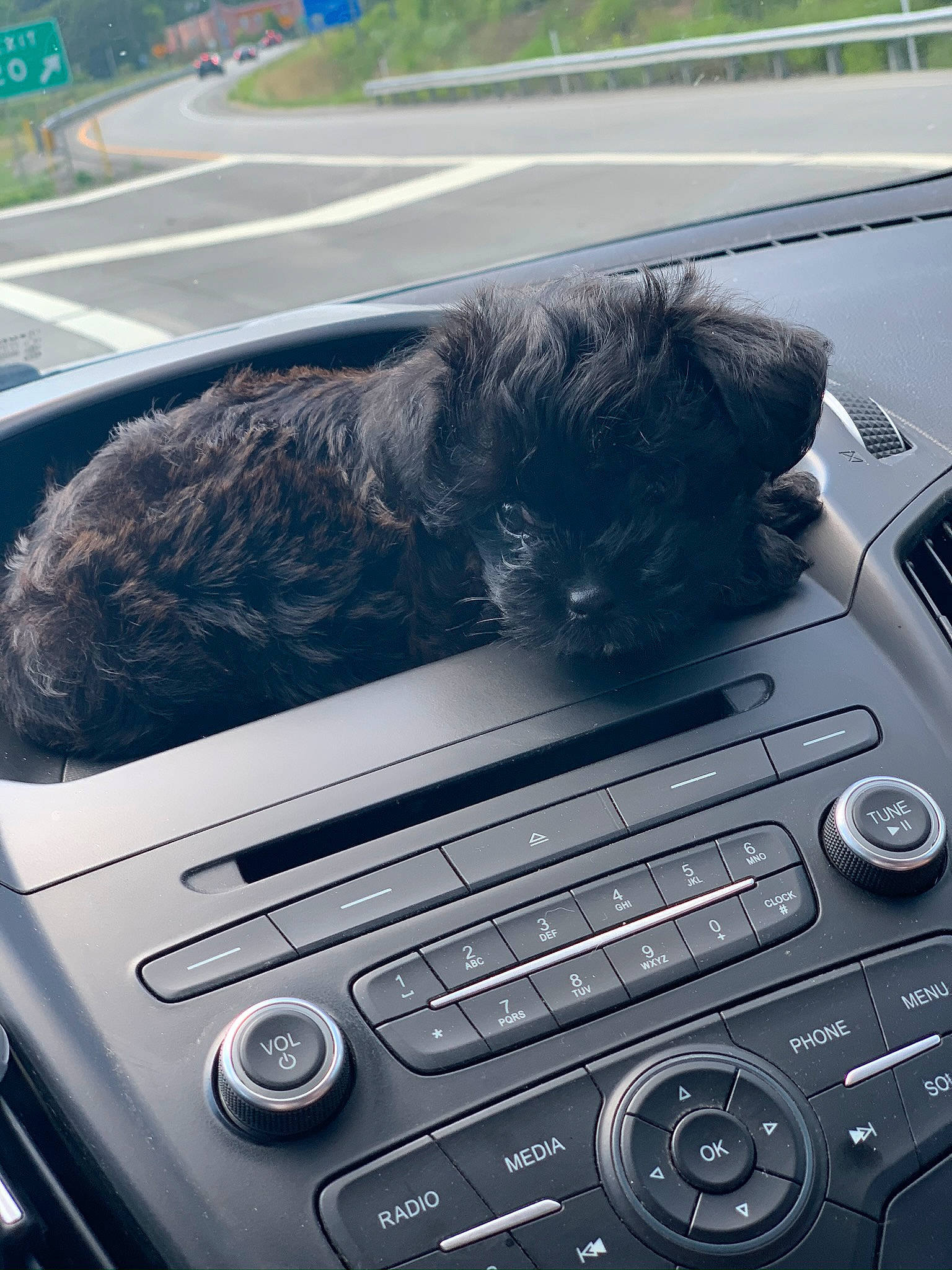 Champ is registered to the contest to win money with this photo: auto_part, automotive_navigation_system, automotive_window_part, car, center_console, driving, electronic_device, electronics, family_car, glass, gps_navigation_device, personal_luxury_car, photography, steering_wheel, technology, vehicle, vehicle_audio, vehicle_door, window, windshield