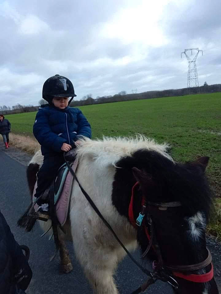 Lina participe au concours pour gagner de l'argent avec cette photo : animal_sports, bit, bridle, cloud, english_riding, equestrian_helmet, equestrian_sport, equestrianism, grassland, headwear, horse, horse_supplies, horse_tack, landscape, mane, pack_animal, person, recreation, rein, saddle