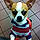 Chico