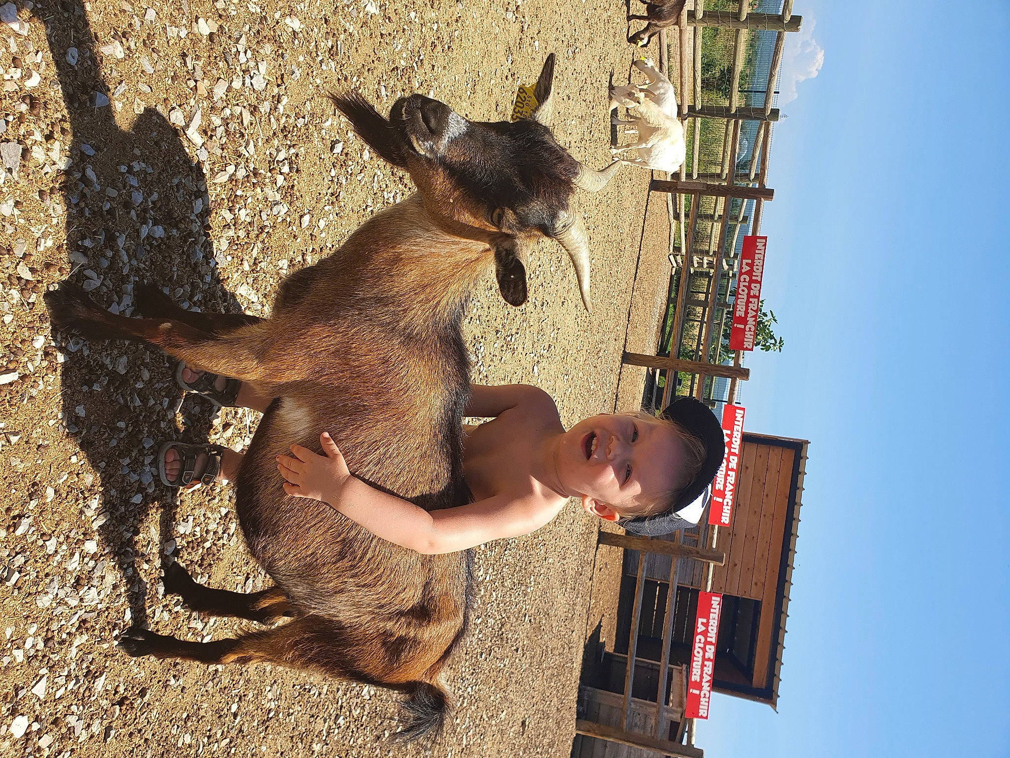 Thomas a rejoint le concours — aidez-le/la à gagner de superbes lots ! adaptation, baby, curious, fawn, fur, kangaroo, macropodidae, marsupial, person, shadow, snout, tail, wallaby