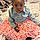 Aarionna