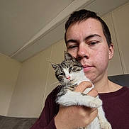 Al is registered to the contest to win money with this photo: casual_clothing, cat, closeup, comfort, couch, domestic_animal, expressionless, face, fur, hand, holding, indoor, kitten, person, portrait, short_hair, sleepy, tabby, wall, young_adult