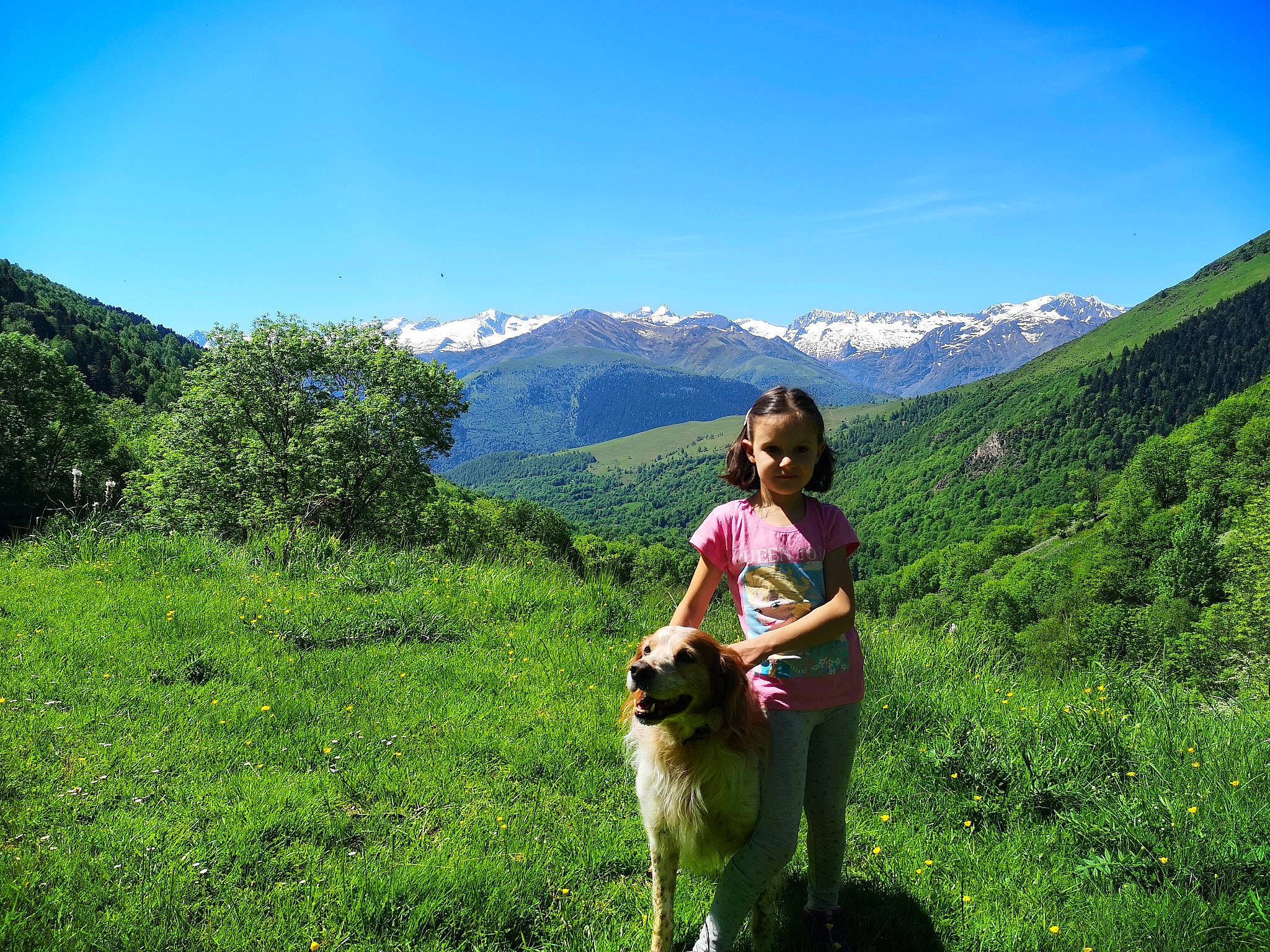 Gold participe au concours pour gagner de l'argent avec cette photo : carnivore, dog, dog_breed, fawn, grass, grassland, green, happy, leisure, mammal, meadow, mountain, mountainous_landforms, natural_landscape, people_in_nature, plant, plant_community, rural_area, sky, travel