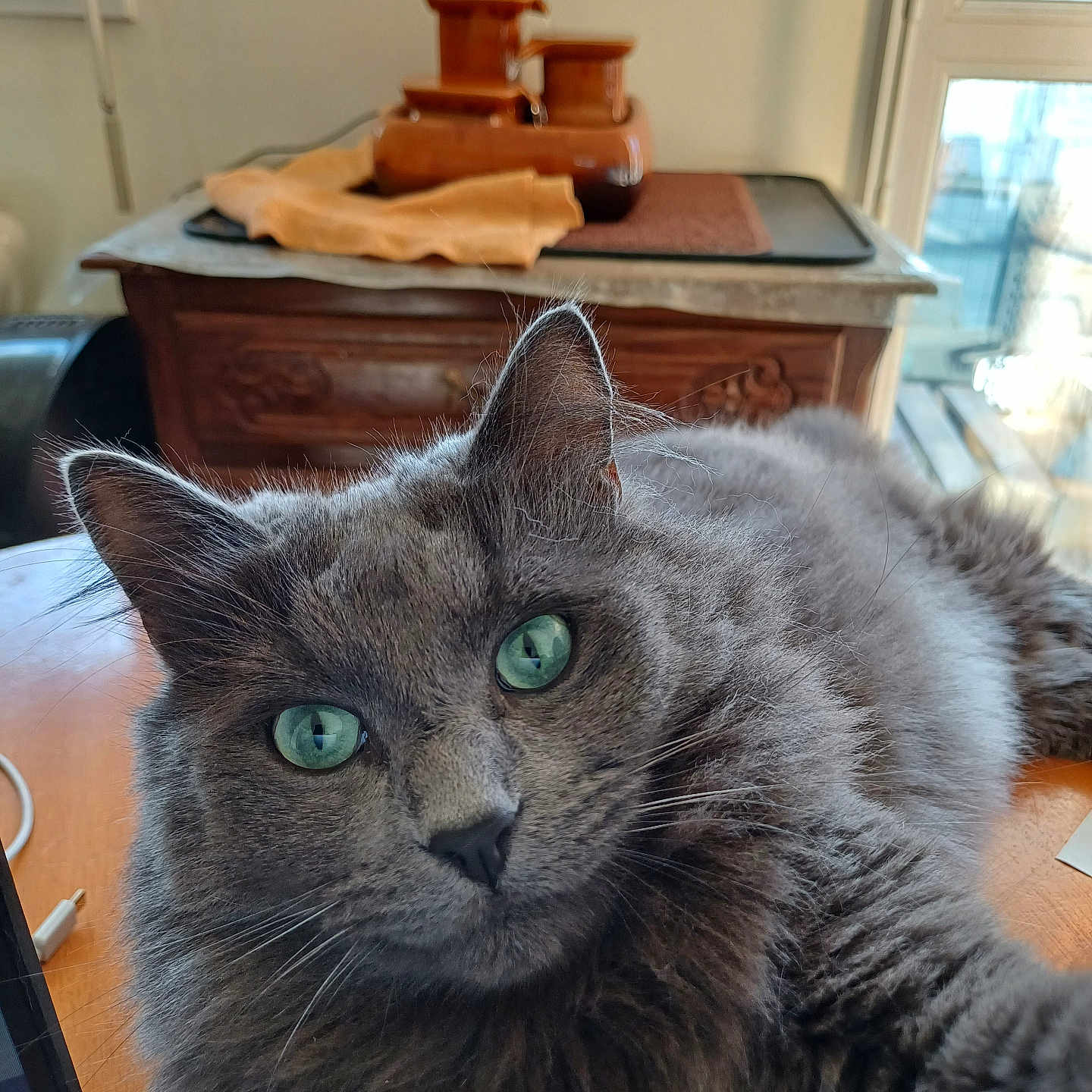 Shiva