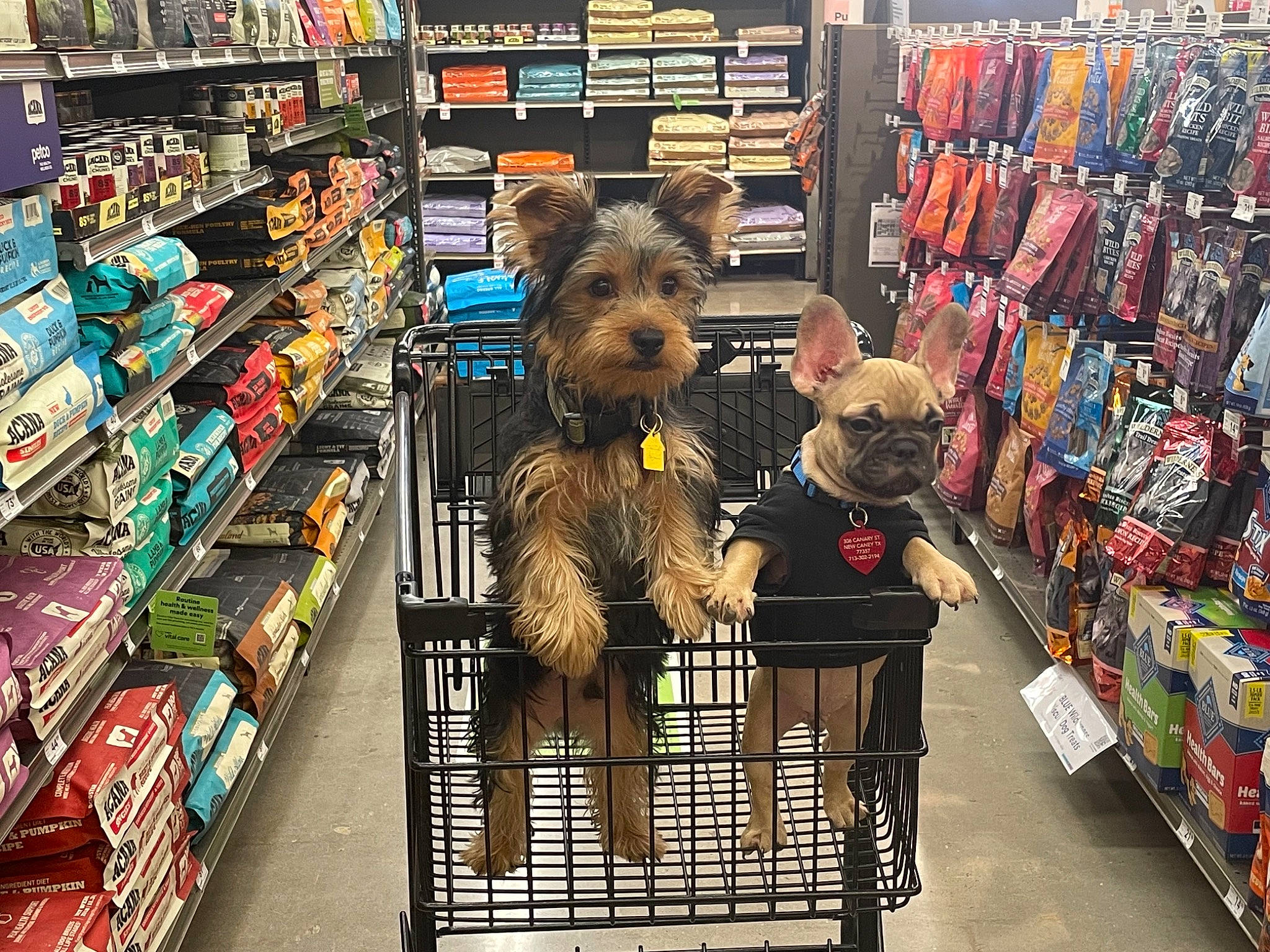 Diesel joined the competition — help win amazing prizes! collection, convenience_store, customer, fiction, flooring, fur, grocery_store, market, product, publication, retail, room, shelf, shelving, shopping, street, stuffed_toy, supermarket, toy, trade