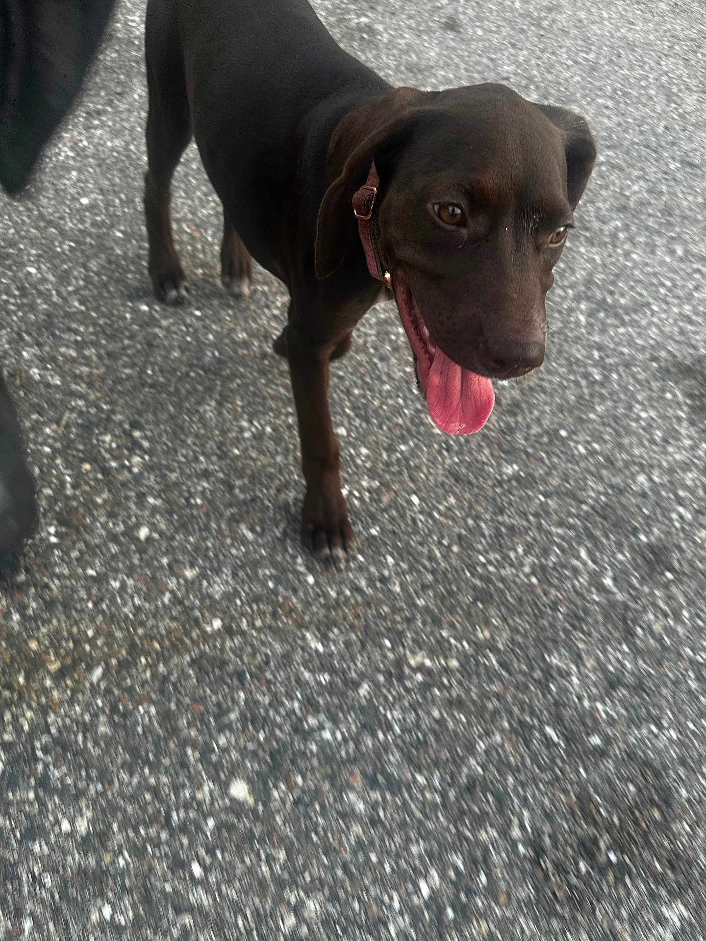 Ellie