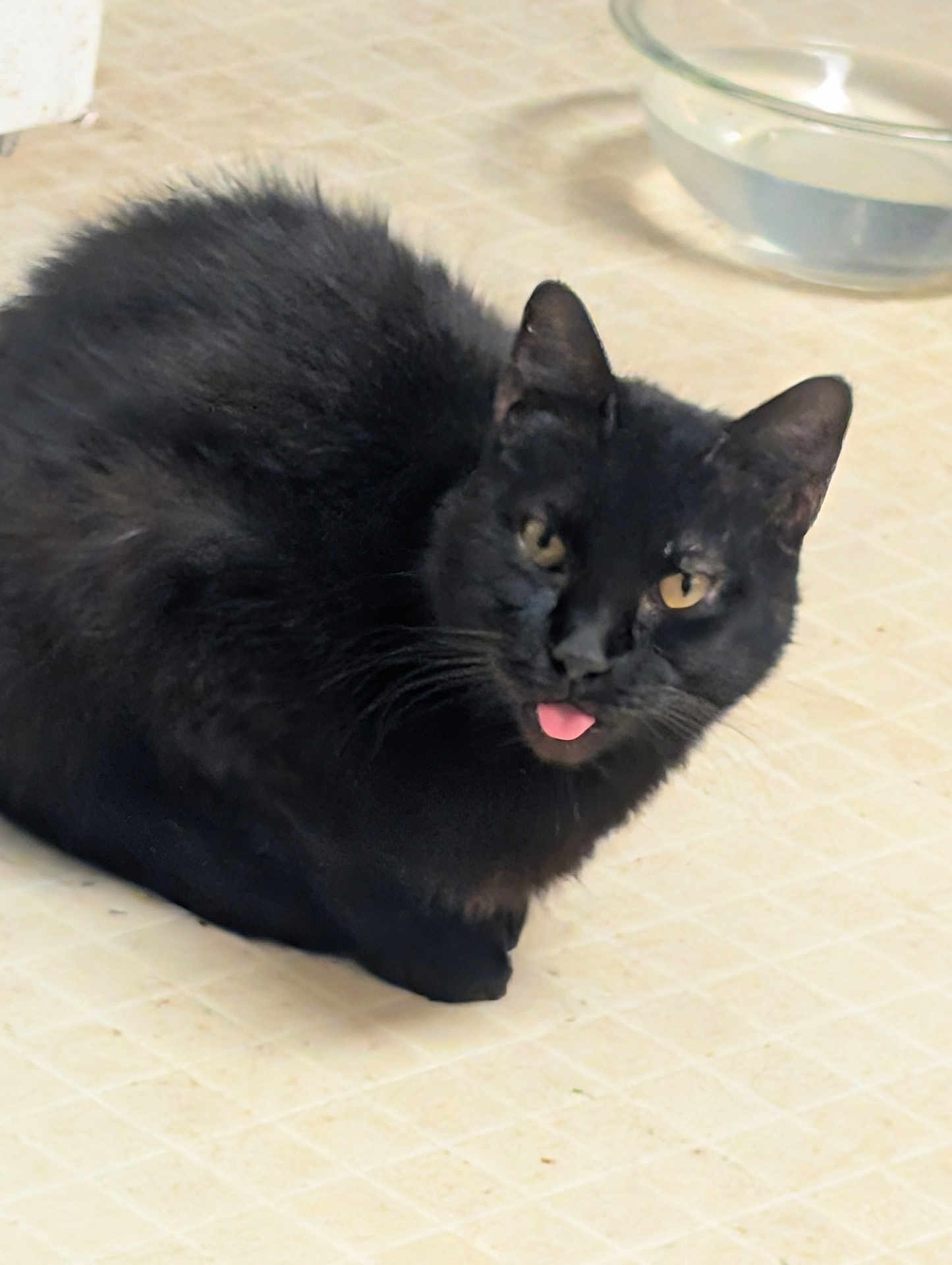 Snowball