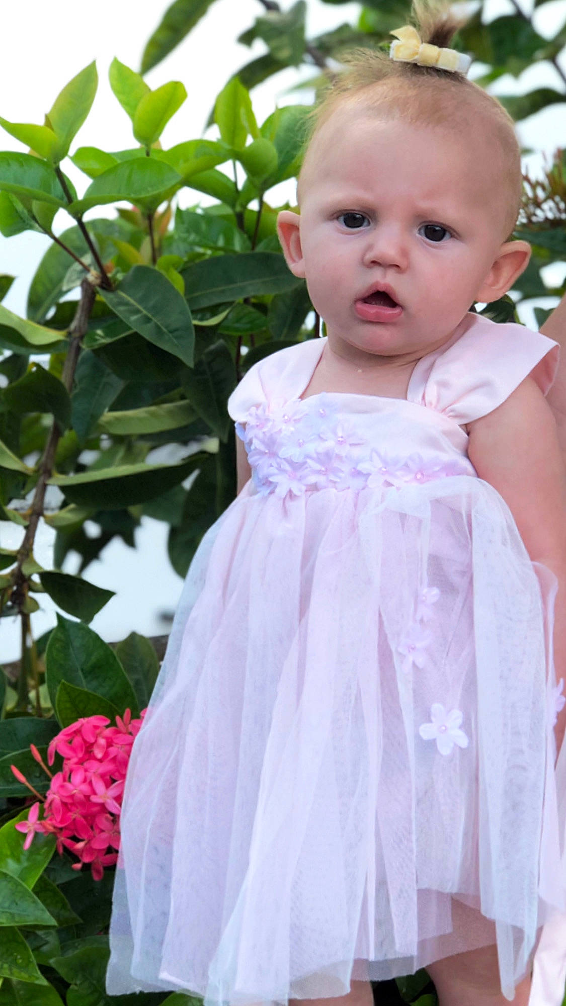 Rayna joined the competition — help win amazing prizes! baby, bridal_party_dress, child, child_model, clothing, costume, dress, flower, formal_wear, gown, lilac, person, petal, pink, plant, smile, textile, toddler