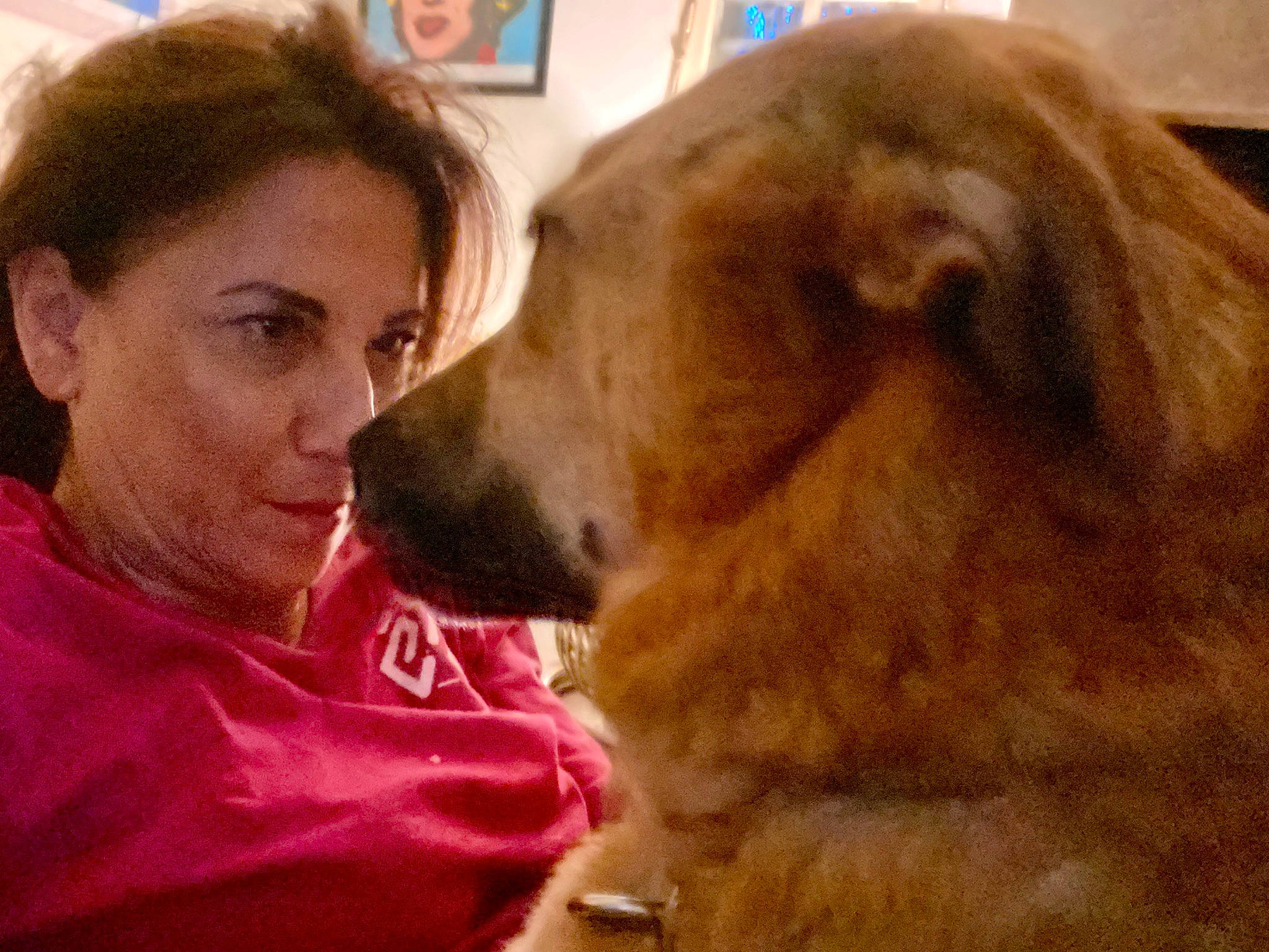 Lea a rejoint le concours — aidez-le/la à gagner de superbes lots ! canidae, carnivore, comfort, companion_dog, dog, dog_breed, ear, fawn, fur, giant_dog_breed, happy, liver, picture_frame, puppy_love, selfie, snout, sporting_group, terrestrial_animal, whiskers, working_animal