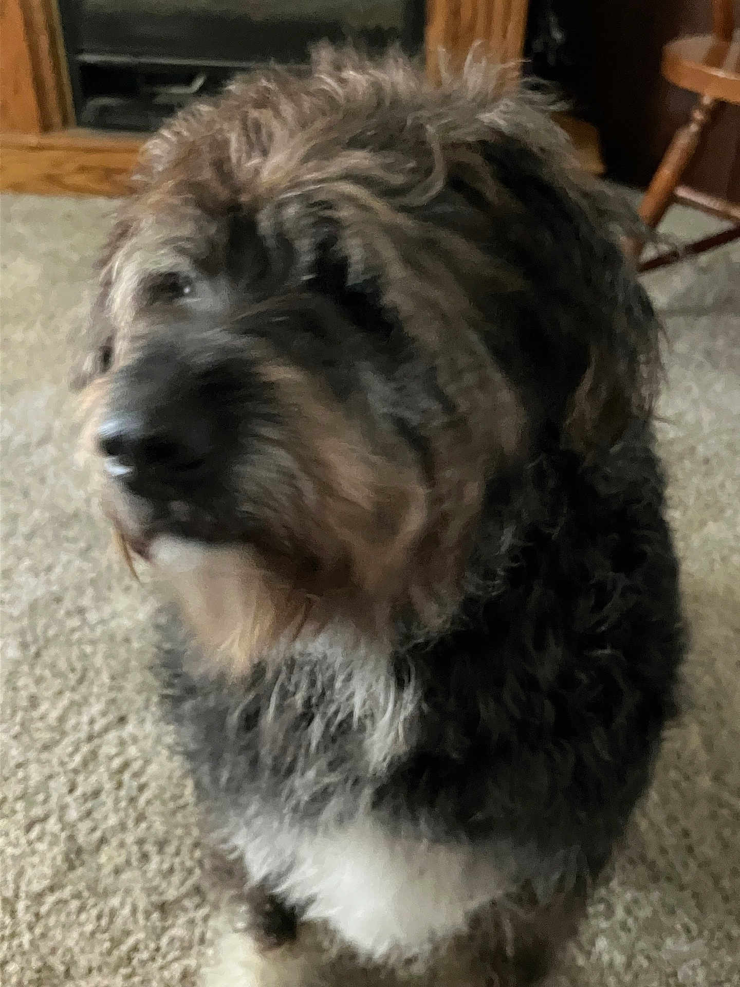 Max