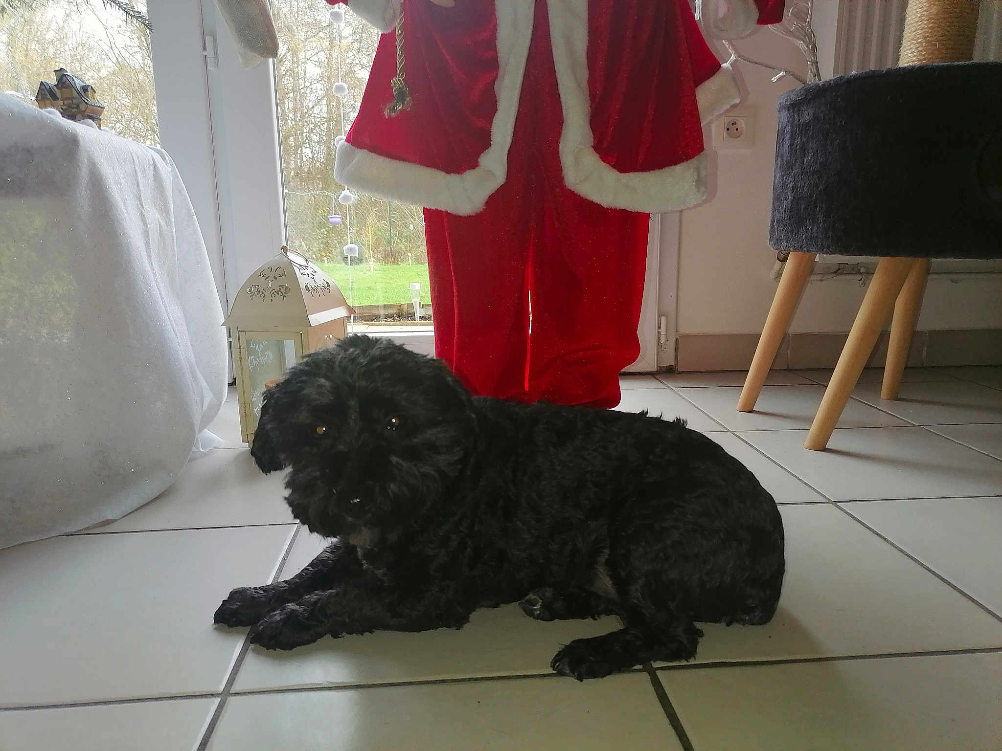 Edgar