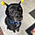 Jax
