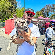 Gucci joined the competition — help win amazing prizes! bubbles, cap, casual, child, daytime, dog, french_bulldog, holding, leash, man, market, outdoor, pavement, people, stroller, sunglasses, sunny, tents, trees, white_tshirt