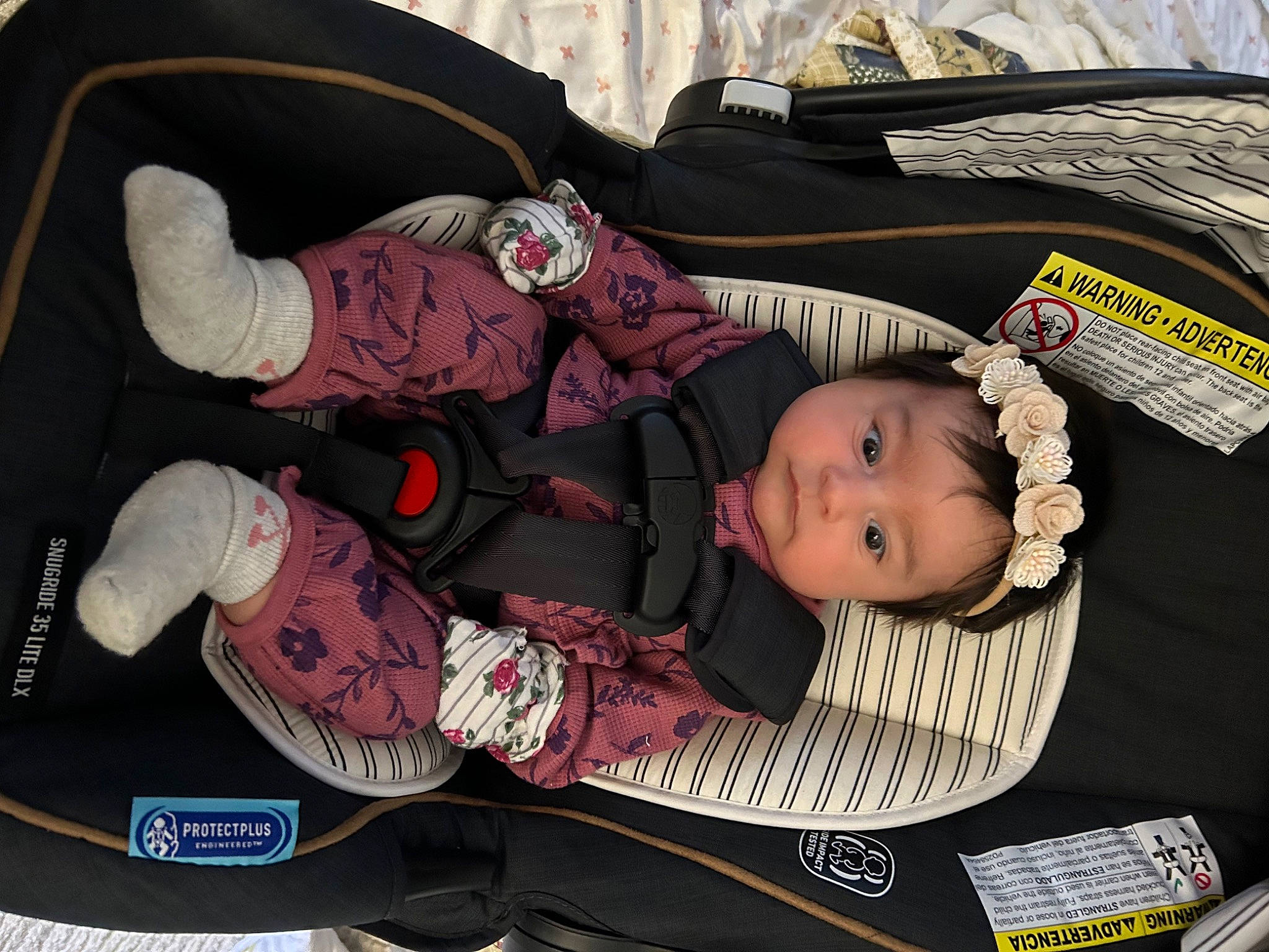 Elsie joined the competition — help win amazing prizes! baby, baby_carriage, baby_products, baby_toddler_clothing, brown, car_seat, carmine, child, comfort, lap, pattern, person, product, sitting, toddler, tree