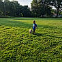 Sasha joined the competition — help win amazing prizes! child, dog, grass, field, leash, outdoor, trees, sunlight, blue_shirt, walking, pet, nature, summer, boy, canine, greenery, park, casual, daytime, friendship