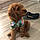 Cooper