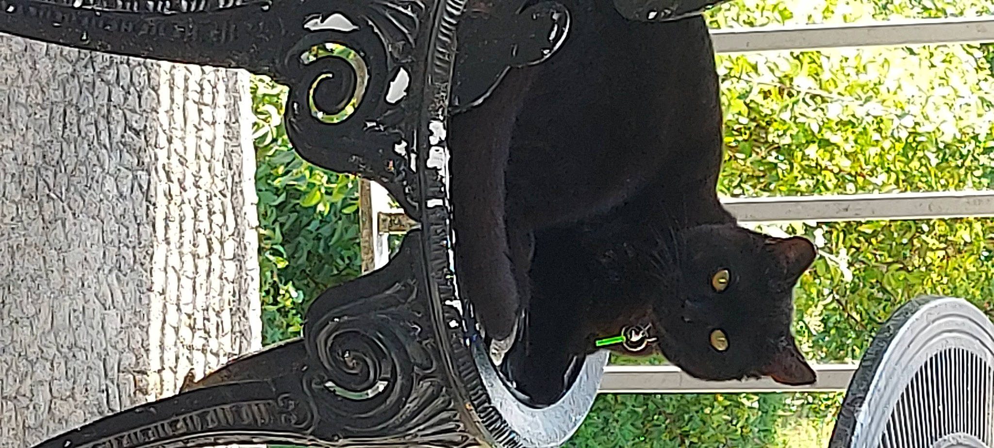 Suki