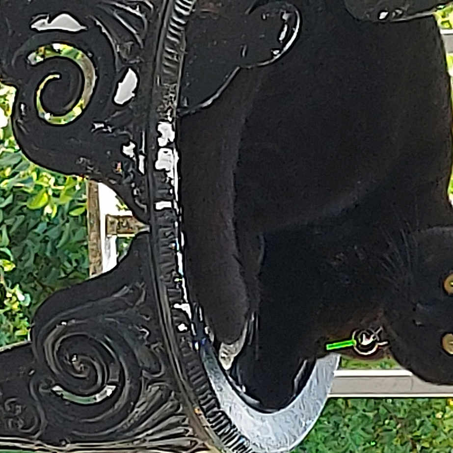 Suki