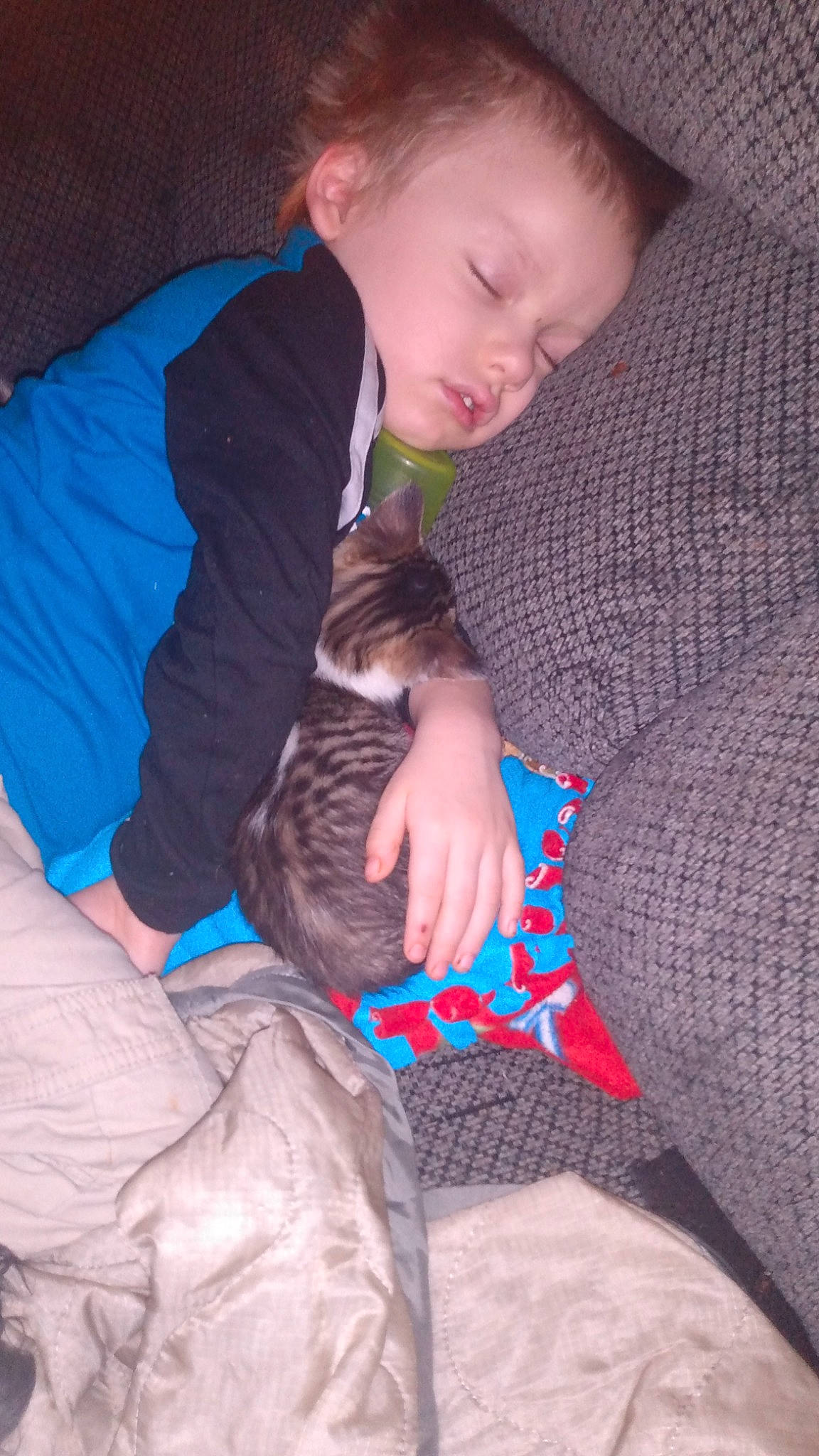 Jacob is registered to the contest to win money with this photo: baby, bedtime, carnivore, child, comfort, companion_dog, couch, electric_blue, felidae, fun, fur, human_leg, lap, linens, person, small_to_medium_sized_cats, sock, textile, thigh, toddler