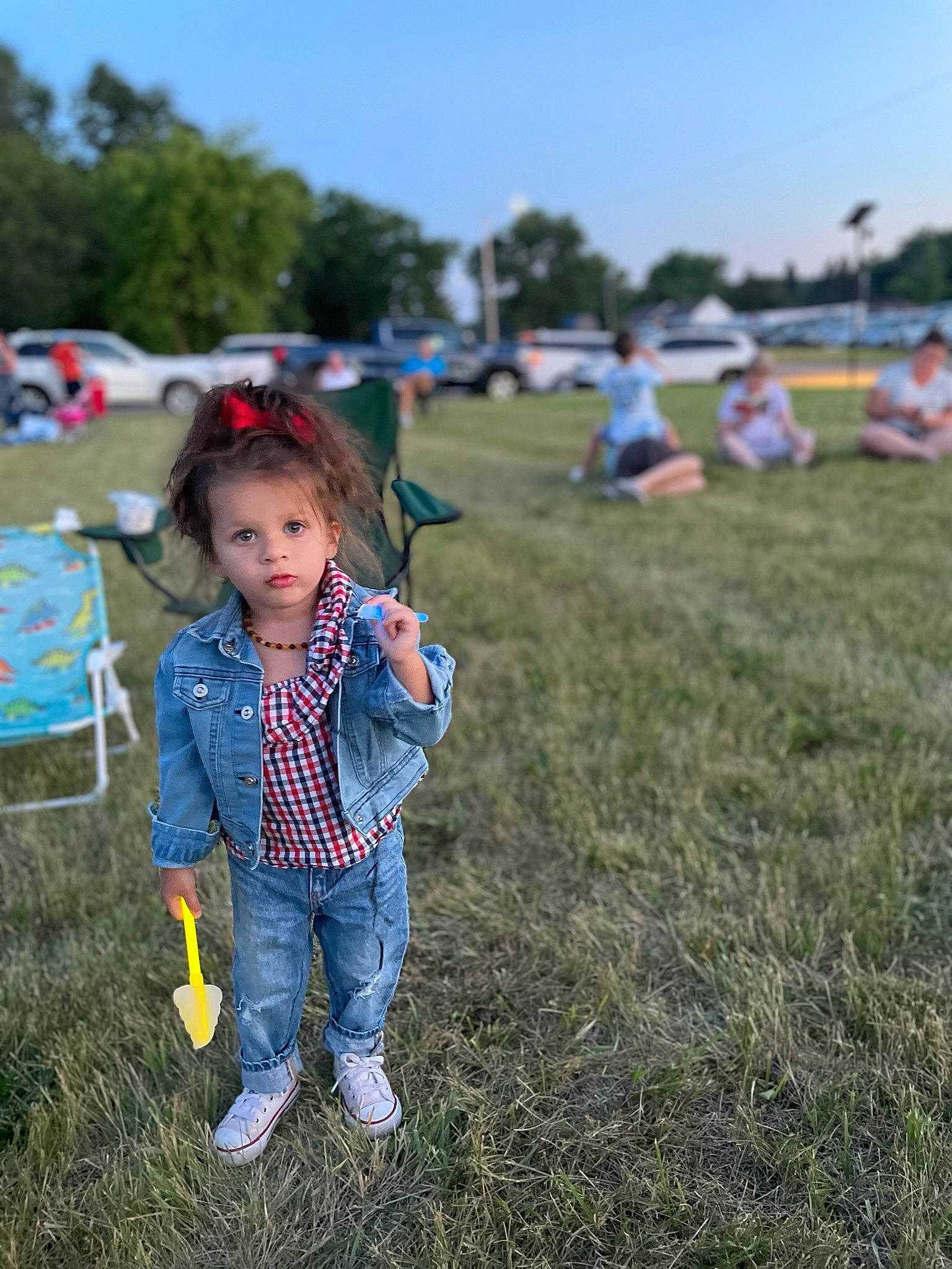 Skye is registered to the contest to win money with this photo: child, denim, electric_blue, fun, grass, grassland, happy, jeans, landscape, leisure, meadow, person, plaid, plant, prairie, recreation, rural_area, sky, soil, toddler