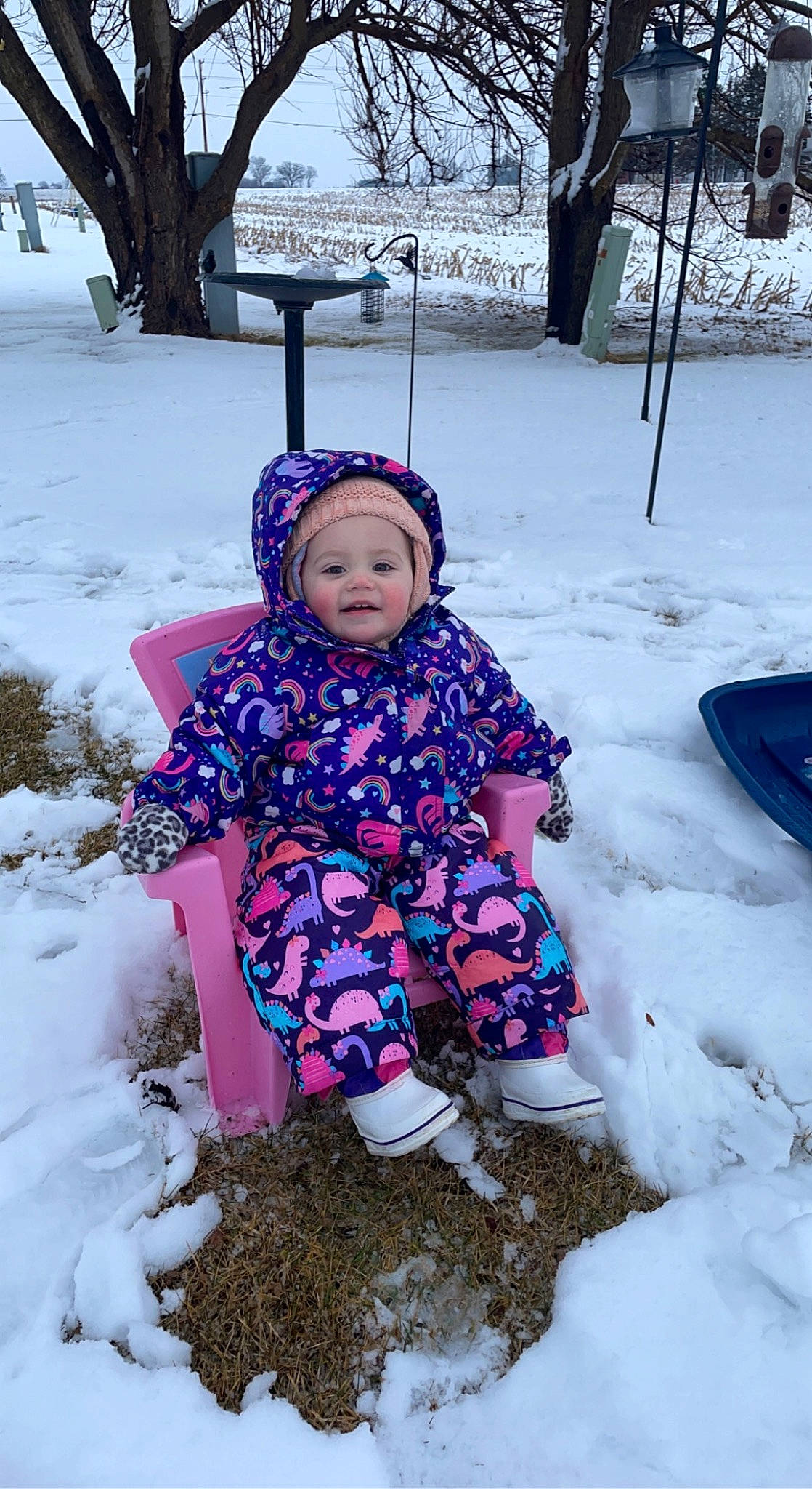 Sommer is registered to the contest to win money with this photo: baby_toddler_clothing, child, event, eye, face, freezing, fun, grass, headwear, jacket, leisure, magenta, person, plant, playing_in_the_snow, precipitation, purple, recreation, snow, toddler