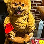 dog, costume, bear_costume, plush, heart_shaped, stool, wooden, indoor, happy, cute, pet, animal, furry, smiling, table, food_container, raspberries, brick_wall, cozy, fur