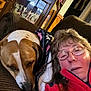 Mindy joined the competition — help win amazing prizes! dog, person, couch, blanket, glasses, brown, white, indoor, cabinet, figurines, relaxing, closeup, face, pet, resting, casual, cozy, home, portrait, seated