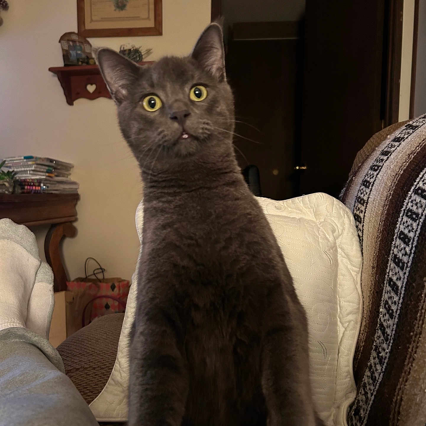 Mr. Marbles