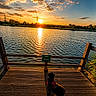 dog, black_dog, red_harness, lakeside, sunset, sunrise, water, dock, pier, reflection, ripples, sky, clouds, golden_hour, landscape, outdoors, nature, shoreline, trees, silhouette