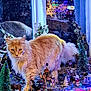 cat, orange_cat, fluffy_fur, miniature, christmas_village, figurines, decorations, lights, trees, window, reflection, indoor, holiday, festive, animal, pet, curious, scene, diorama, colorful