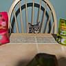 blurred_foreground, cat, chair, curious, furniture, green_eyes, home, indoor, kitchen, packaging, peeking_head, pet, portrait, shallow_depth_of_field, snack_pouch, tabby_cat, table, tiled_table, whiskers, wooden_chair