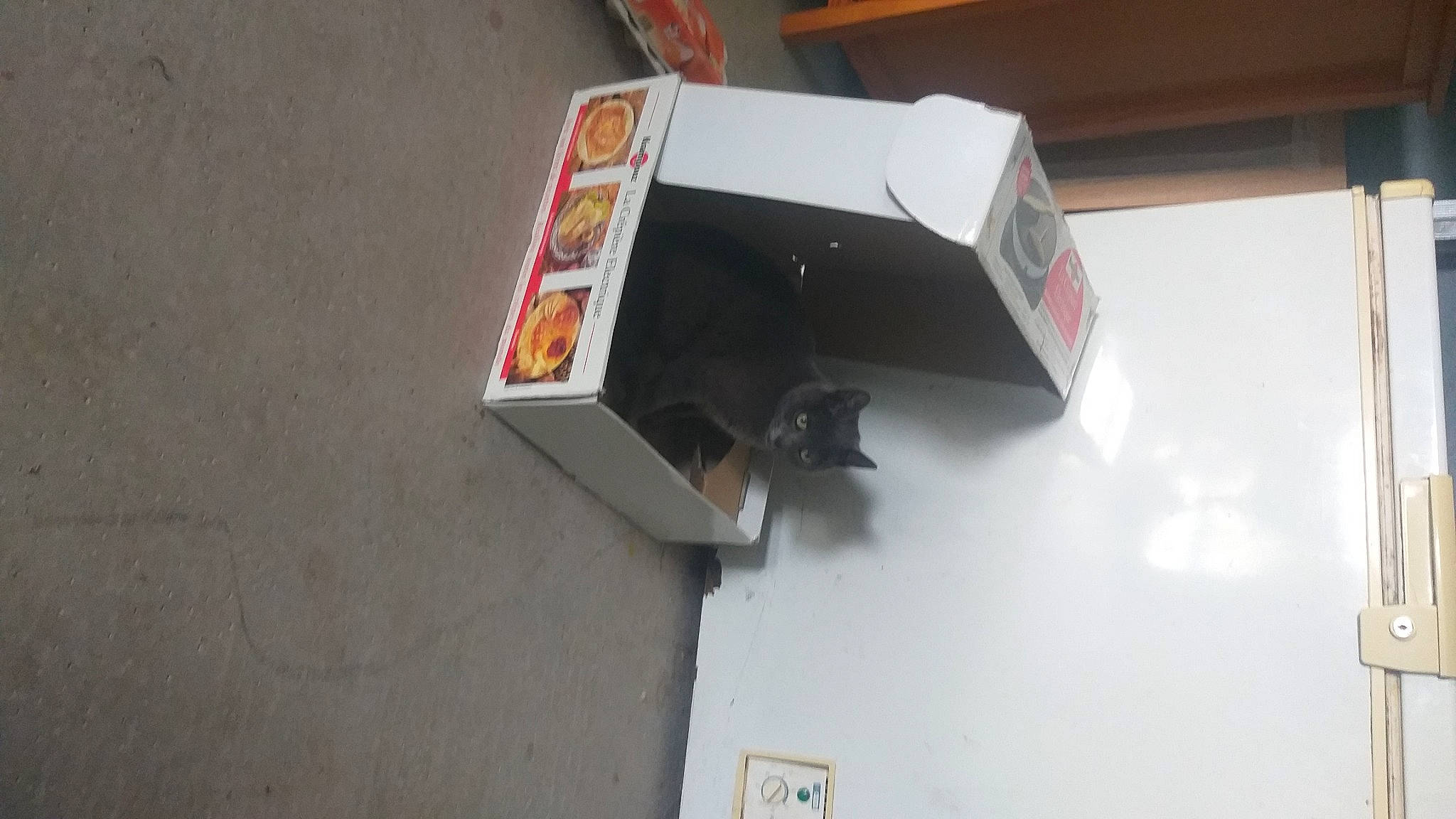 Savannah participe au concours pour gagner de l'argent avec cette photo : carmine, composite_material, gas, machine, plastic, publication, room, transparency, wood