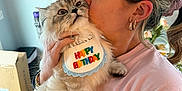 Mango is registered to the contest to win money with this photo: affection, bib, birthday, box, casual_clothing, cat, celebration, close_up, earrings, facial_expression, fluffy, hair_tie, happy_birthday, home_interior, indoor, kiss, pet, portrait, woman, wooden_floor