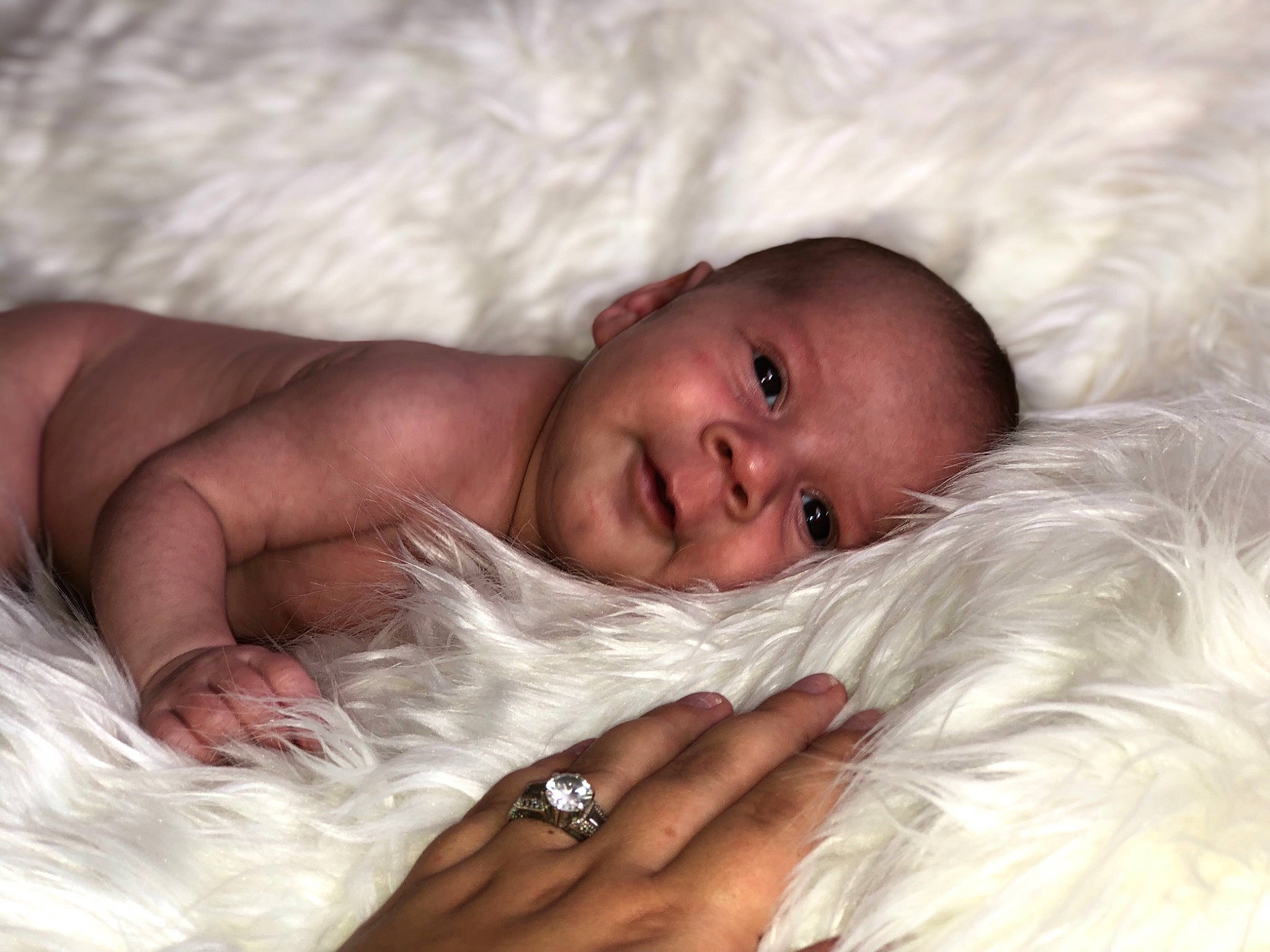 Ernesto joined the competition — help win amazing prizes! child, eye, finger, fur, girl, hand, infant, lip, nose, person, skin, smile, toddler