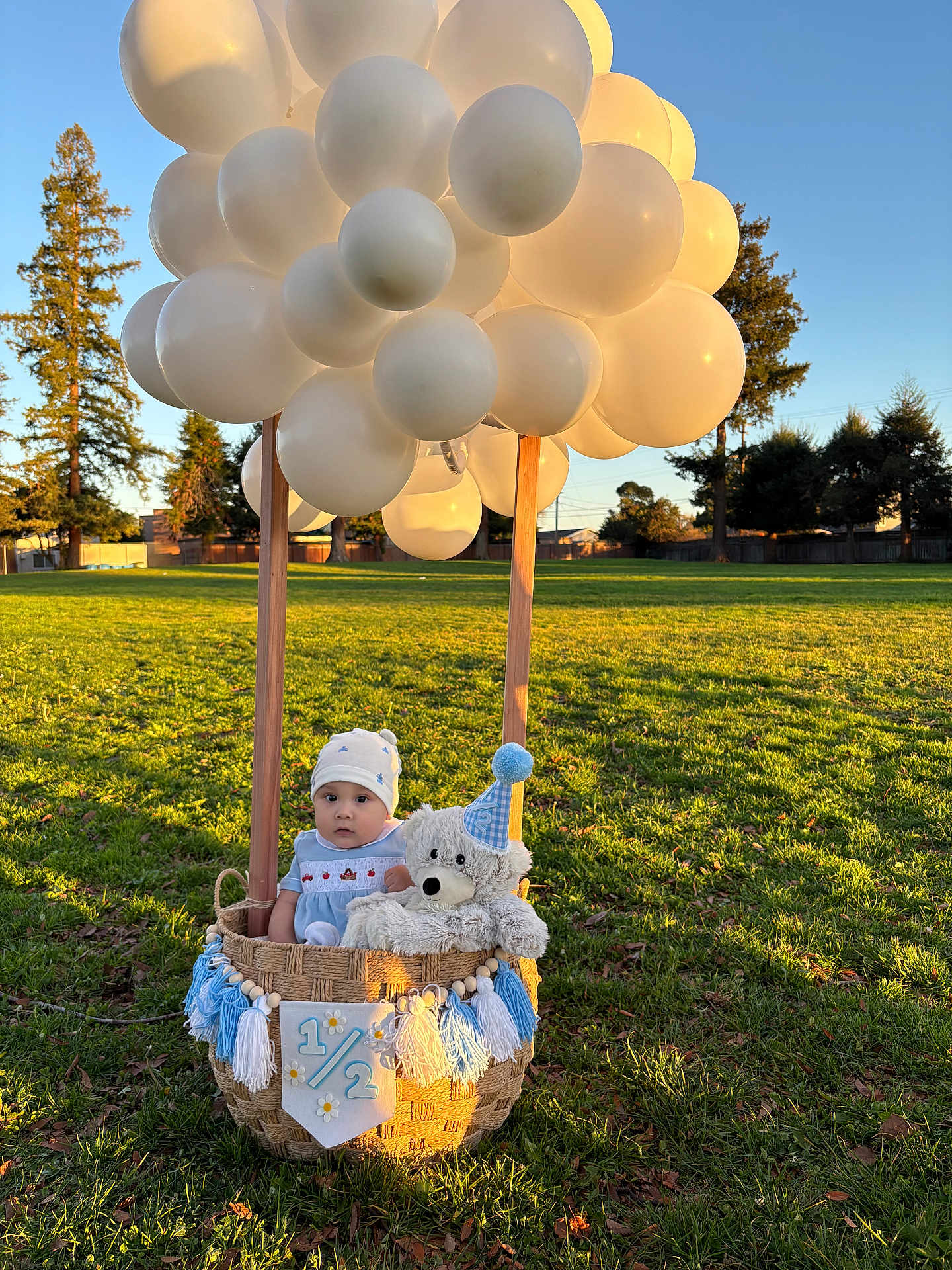Haruto joined the competition — help win amazing prizes! baby, balloons, basket, teddy_bear, outdoor, grass, trees, park, sunlight, hat, blue, white, cute, child, toy, decorations, celebration, nature, daytime, portrait