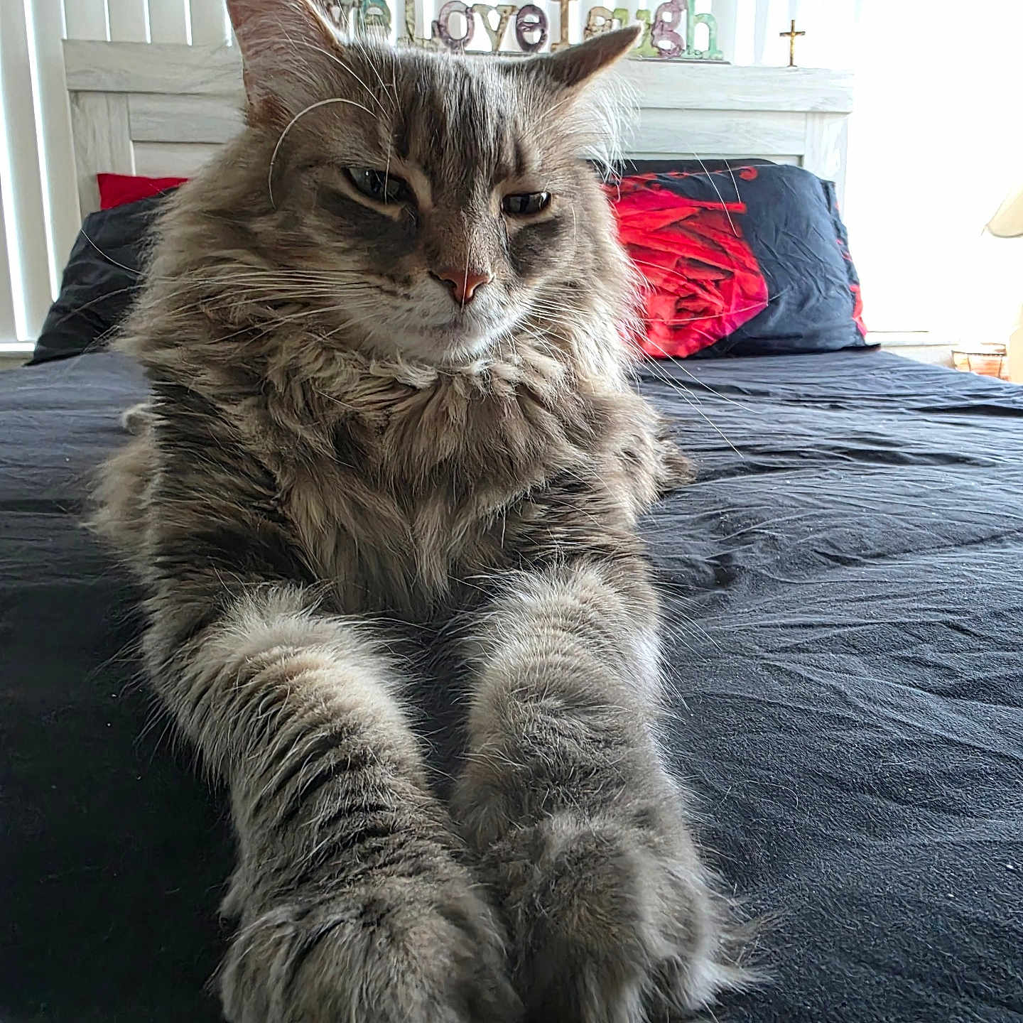 Oliver