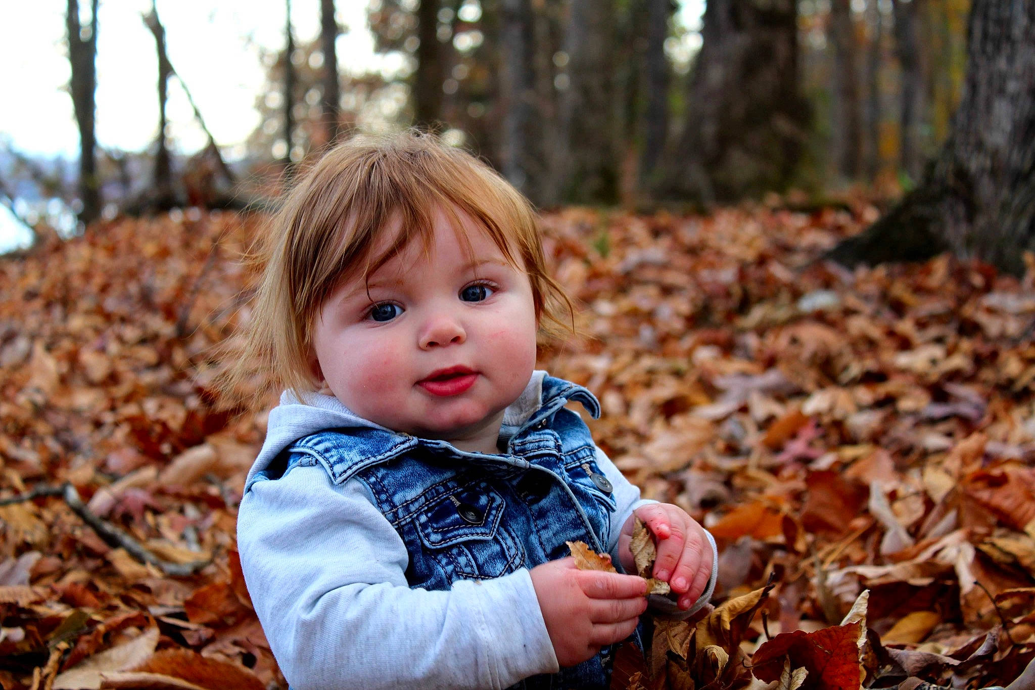 Parker Wayne is registered to the contest to win money with this photo: baby, beauty, brown, cheek, child, deciduous, face, forest, grass, happy, leaf, natural_landscape, nature, people_in_nature, person, photograph, plant, toddler, tree, trunk