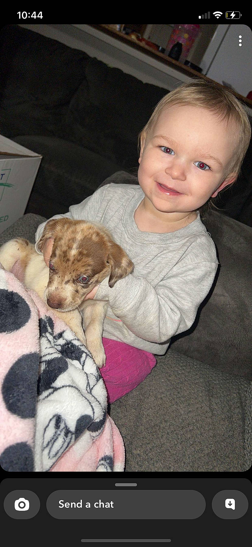 Hazlynn is registered to the contest to win money with this photo: box, carnivore, child, comfort, companion_dog, dog, dog_breed, ear, eye, fawn, flash_photography, fur, happy, joy, person, puppy_love, skin, smile, snout, toddler