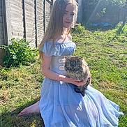 Fawkes joined the competition — help win amazing prizes! girl, cat, grass, garden, sunlight, dress, blue_dress, outdoor, fence, greenery, pet, animal, young, long_hair, barefoot, fluffy_cat, tabby_cat, sitting, holding, peaceful