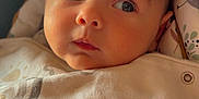 Isaac joined the competition — help win amazing prizes! baby, infant, face, eyes, bib, clothing, soft_toy, orange_toy, curious, closeup, portrait, child, indoors, cute, newborn, skin, head, expression, person, babywear