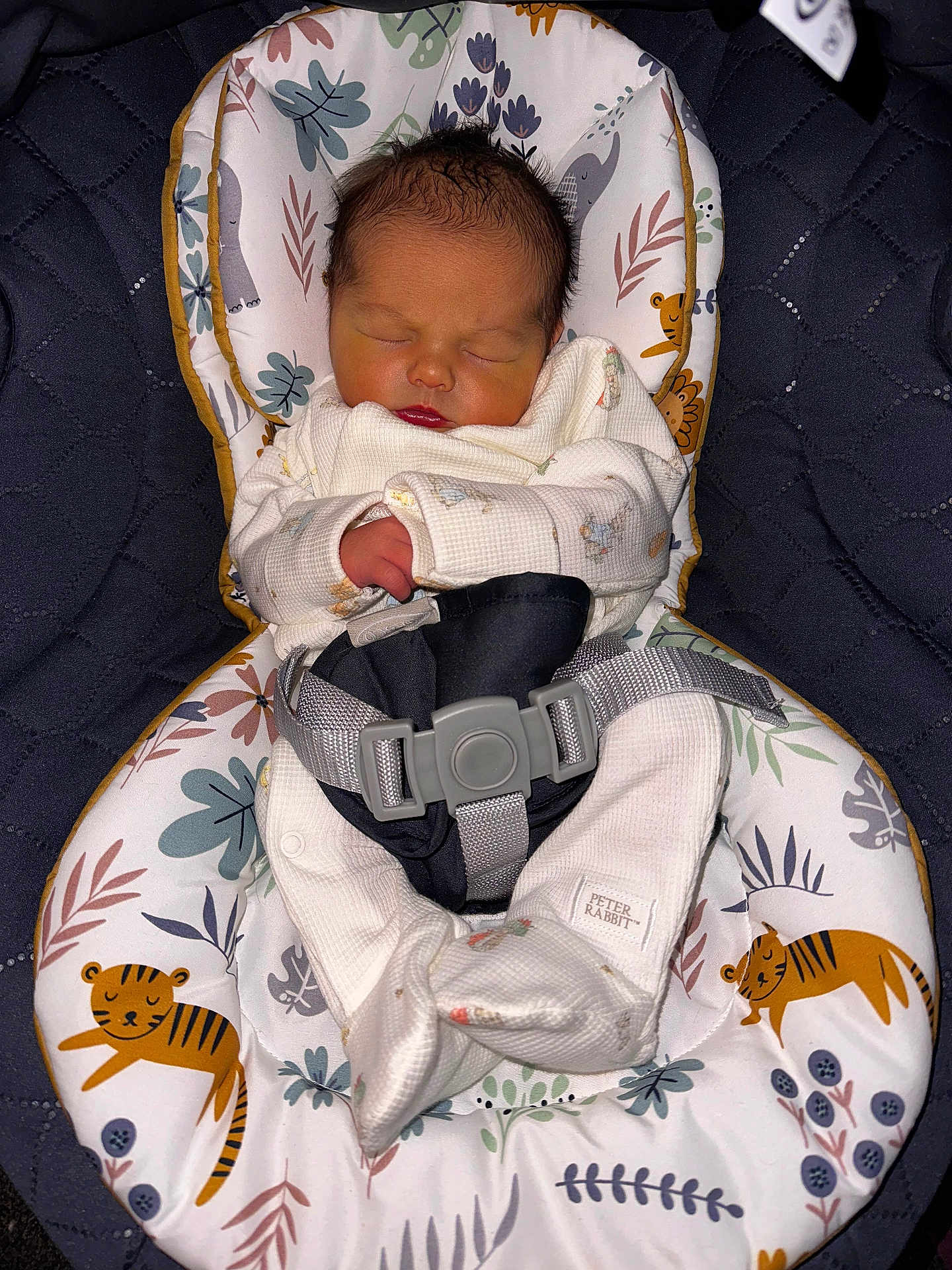 Isaac joined the competition — help win amazing prizes! newborn, baby, sleeping, infant, baby_seat, animal_print, tiger, leaves, patterned_fabric, white_clothing, straps, safety_buckle, indoor, close_up, soft_lighting, peaceful, cute, child, portrait, resting