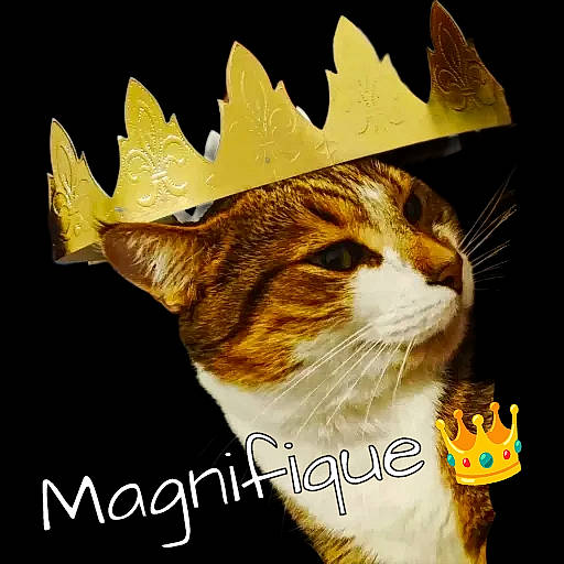 Kyoko participe au concours pour gagner de l'argent avec cette photo : art, carnivore, cat, domestic_short_haired_cat, drawing, felidae, font, fur, graphics, grass, illustration, internet_meme, painting, paw, pet_supply, photo_caption, small_to_medium_sized_cats, snout, tail, whiskers