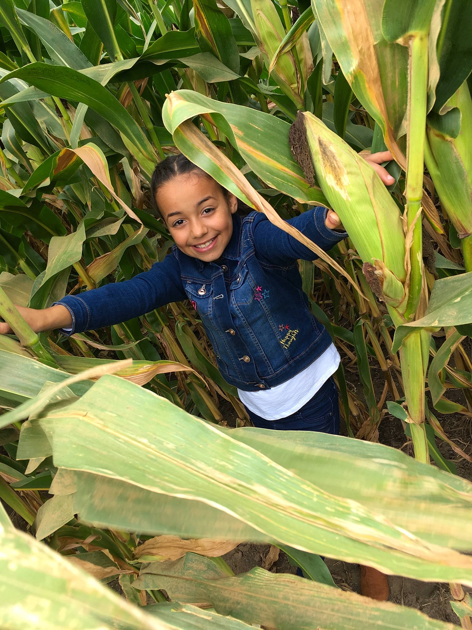 Alayiah is registered to the contest to win money with this photo: adaptation, banana_family, crop, ensete, joy, leaf, person, plant, plantation, terrestrial_plant, vegetarian_food